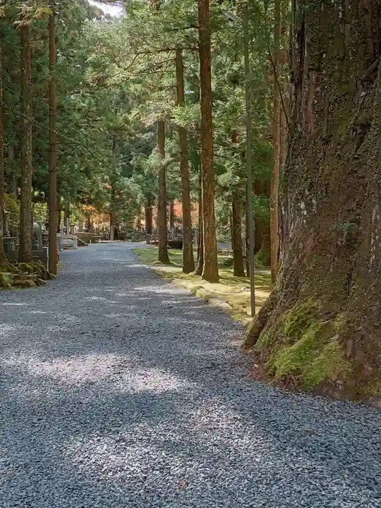 高野山金剛峯寺奥の院(和歌山県)