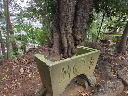 子之神社(神奈川県)