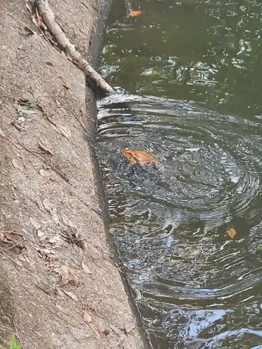 お姫様神社(栃木県)