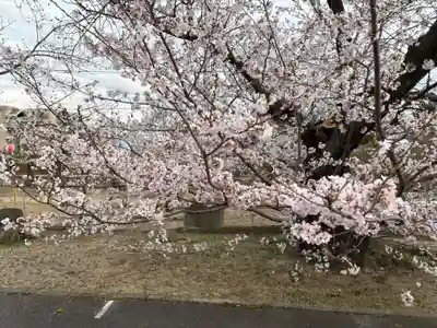 兵庫縣神戸護國神社(兵庫県)