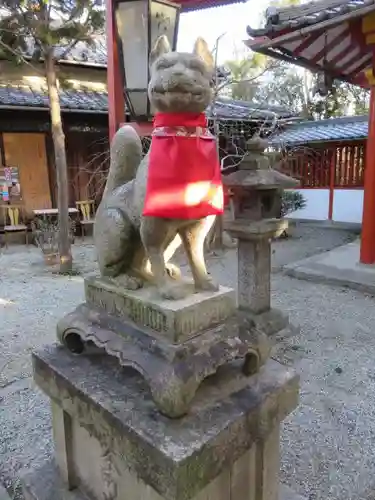 源九郎稲荷神社の狛犬