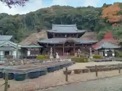 三室戸寺(京都府)