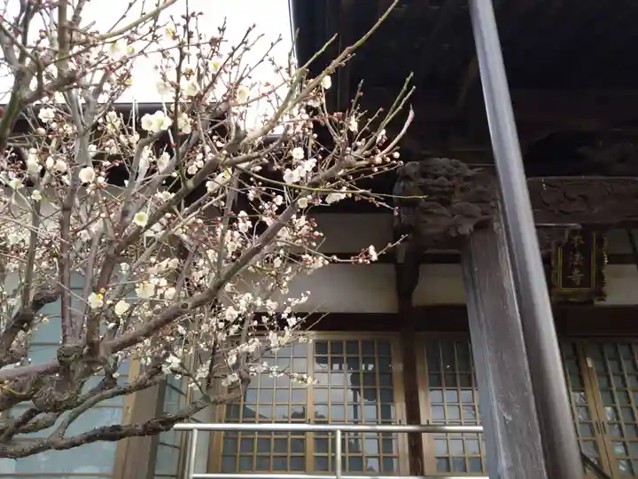 本法寺(静岡県)