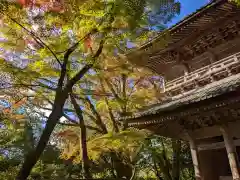 永源寺(滋賀県)