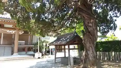 妙順寺(大阪府)