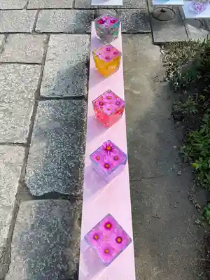 般若寺 ❁﻿コスモス寺❁(奈良県)