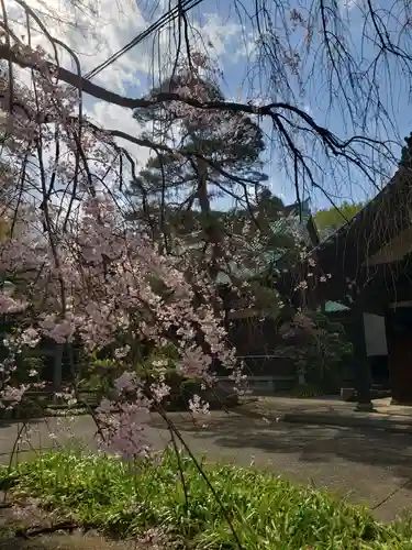 龍光寺(東京都)