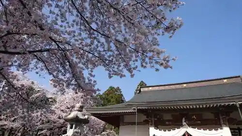 妙了寺の建物その他