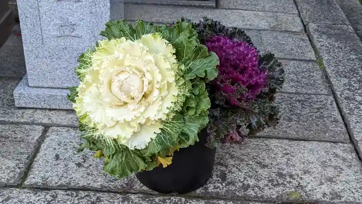 行願寺(革堂)(京都府)