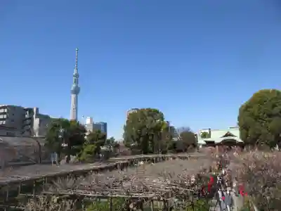 亀戸天神社(東京都)