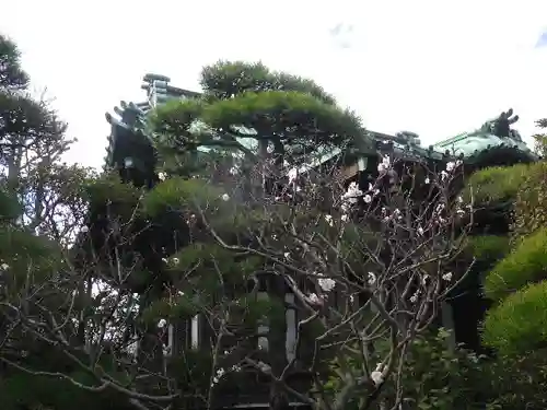 大巧寺のその他建物