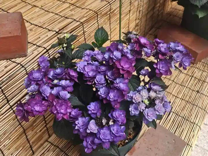 十番稲荷神社(東京都)