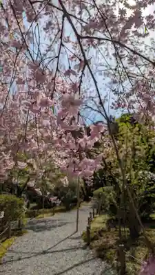 龍安寺(京都府)