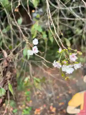 下野 星宮神社(栃木県)