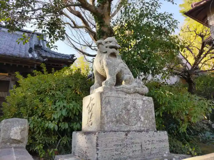 八坂大神の狛犬