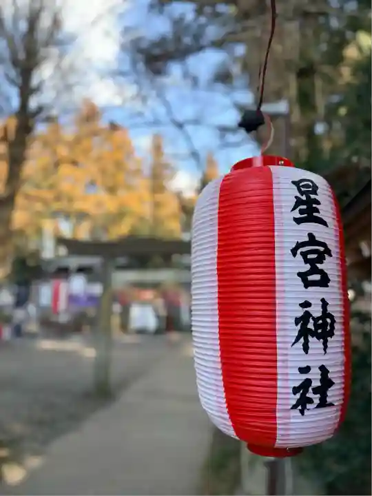 下野 星宮神社(栃木県)