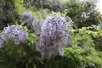 開成山大神宮の自然