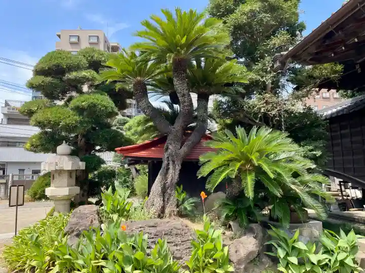 吉祥寺(千葉県)