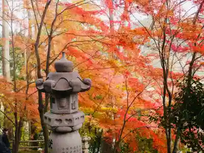 永源寺(茨城県)