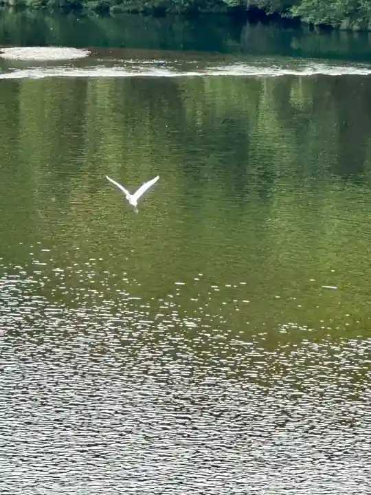 伊勢神宮内宮(皇大神宮)(三重県)