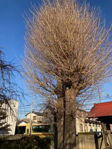 貞性寺(神奈川県)