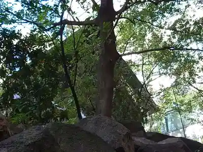 白神社(広島県)