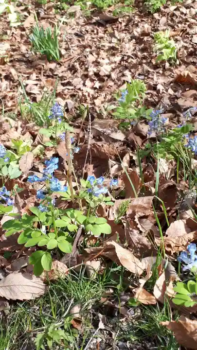 義經神社の自然
