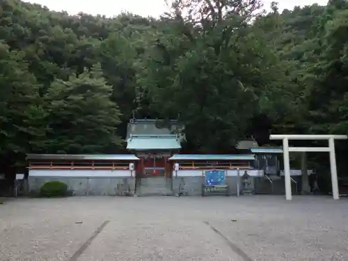 勝浦八幡神社の本殿・本堂