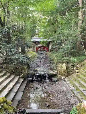 彌彦神社(新潟県)