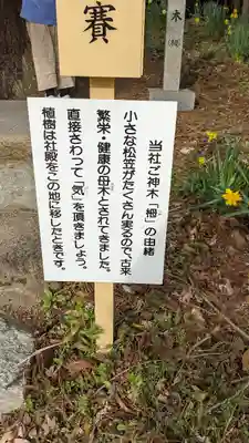 徳佐八幡宮のその他建物