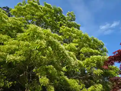 沙沙貴神社(滋賀県)