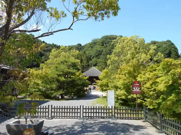 白水阿弥陀堂の庭園