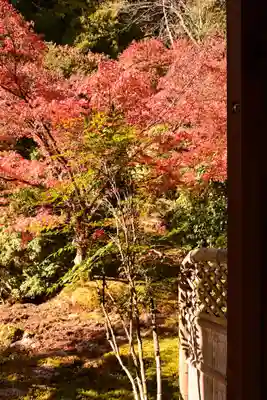 実相院門跡(京都府)