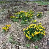 清田稲荷神社(北海道)
