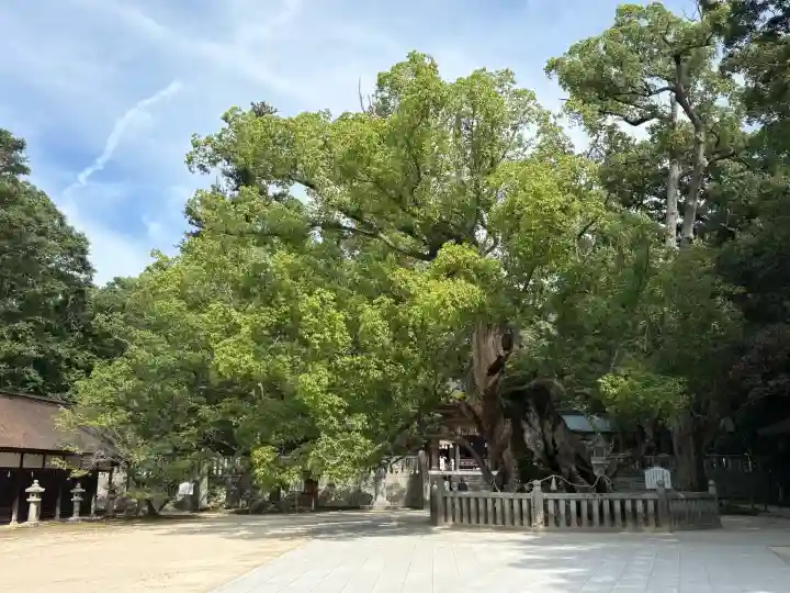 大山祇神社(愛媛県)