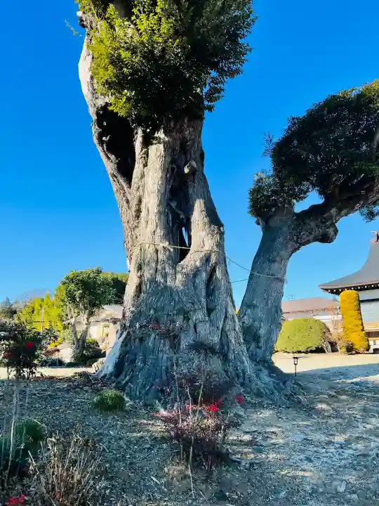 和光院(田島の血不動尊)の{uncategorized: "未分類", other: "その他", undefined: "問題あり", building: "その他建物", grave: "お墓", sacred_gate: "鳥居", guardian: "狛犬", statue: "像", buddha: "仏像", history: "歴史", nature: "自然", garden: "庭園", animal: "動物", pagoda: "塔", temizu: "手水舎", mountain_gate: "山門・神門", sanctuary: "本殿・本堂", subordinate: "末社・摂社", art: "芸術", scenery: "景色", jizo: "地蔵", ema: "絵馬", goshuin: "御朱印", omikuji: "おみくじ", items: "授与品その他", amulet: "お守り", goshuincho: "御朱印帳", eats: "食事", festival: "お祭り", votive_dance: "神楽", shichigosan: "七五三参", wedding: "結婚式", experience: "体験その他", initially: "初詣", around: "周辺", anti_infection: "感染症対策"}