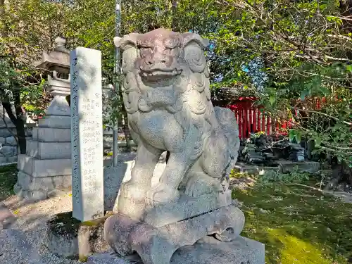 深川神社の狛犬