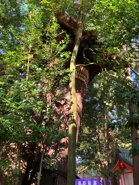 北野天満宮(京都府)