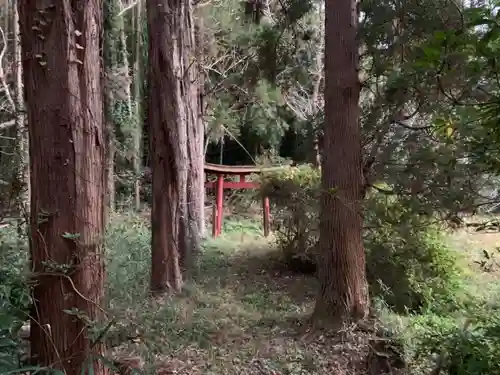 大宮神社の鳥居