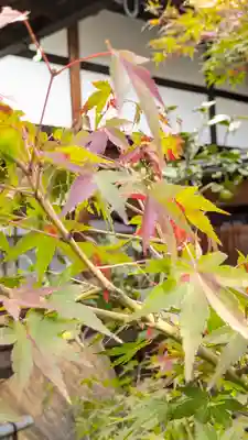 宝蔵寺(京都府)