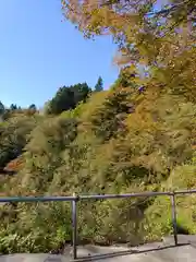 高龍神社の自然