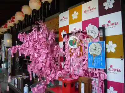 櫻木神社のおみくじ