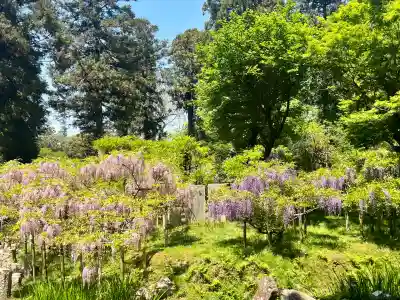 歌泉堂（春日大社神苑萬葉植物園内鎮座）(奈良県)