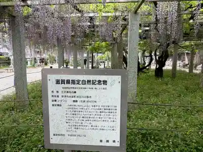三大神社(滋賀県)