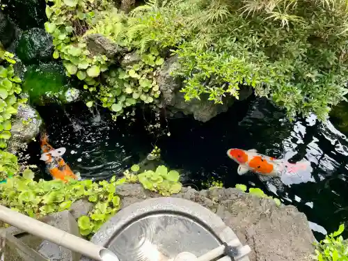 妙見寺(東京都)