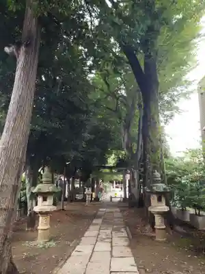 荻窪白山神社(東京都)
