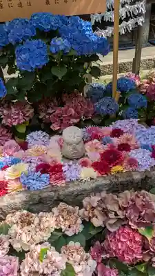 岡寺(龍蓋寺)(奈良県)