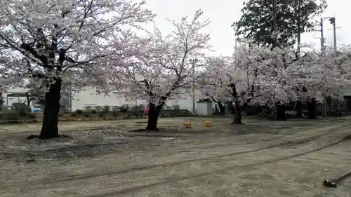石和八幡宮(官知物部神社)の自然