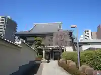 宗仙寺(東京都)