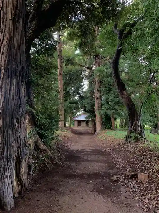 天降神社(千葉県)